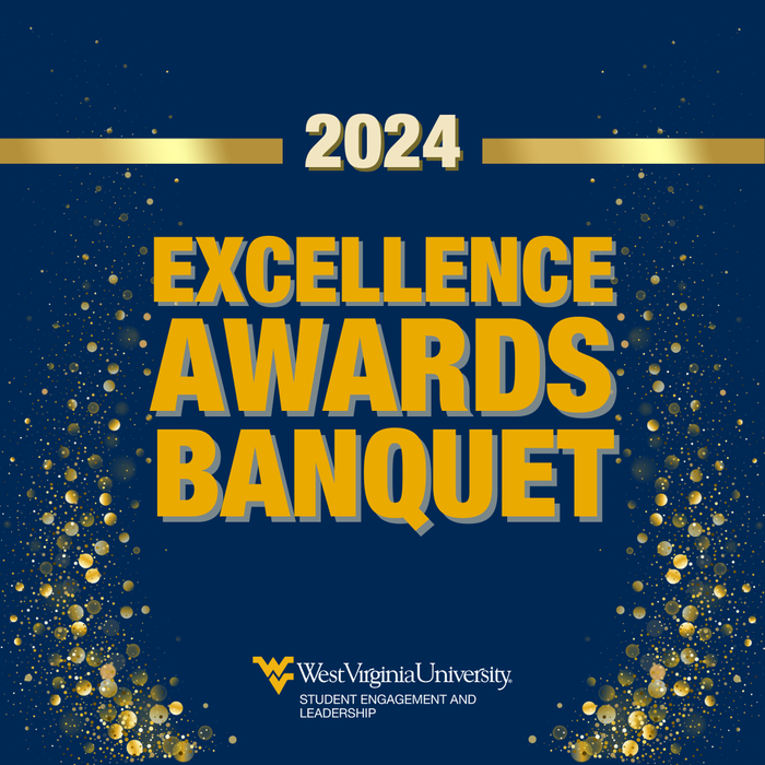 2024 Excellence Awards
